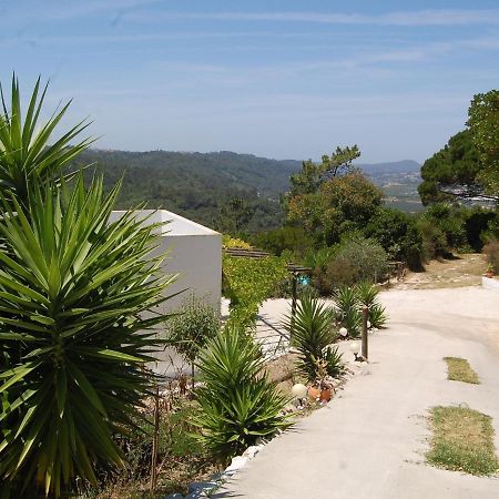 A Perfect Villa With Pool Terrace And Garden Alcobaça Exteriör bild