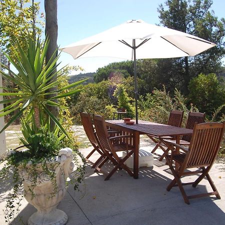 A Perfect Villa With Pool Terrace And Garden Alcobaça Exteriör bild