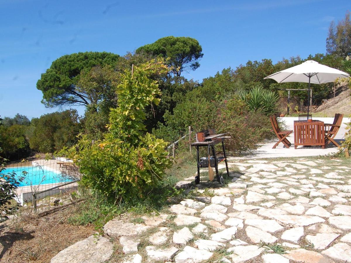 A Perfect Villa With Pool Terrace And Garden Alcobaça Exteriör bild