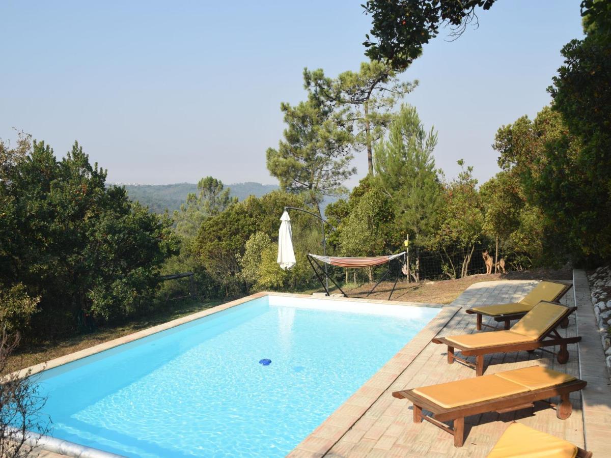 A Perfect Villa With Pool Terrace And Garden Alcobaça Exteriör bild